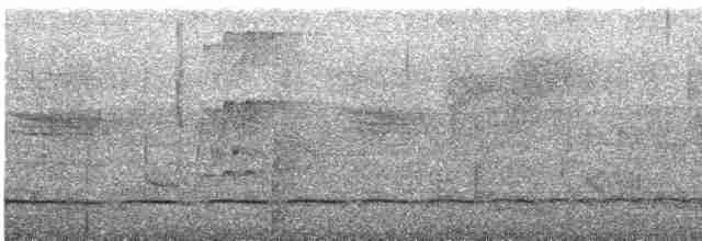 Дятел-коротун смугастокрилий - ML486368271