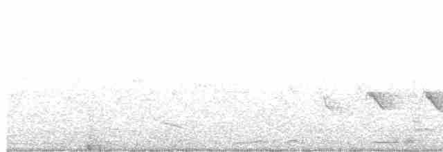 Роскошная нектарница - ML486456581