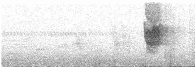 Вилохвістка плямиста - ML486466501