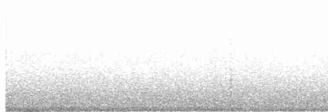 חרטומנית ארוכת-מקור - ML486491281