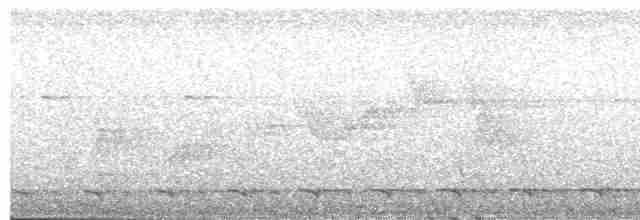 Surukua Trogonu (surrucura) - ML486505661