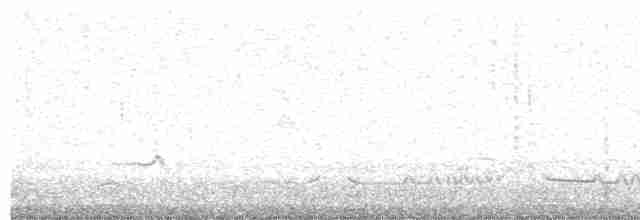 Pluvier grand-gravelot - ML486528151