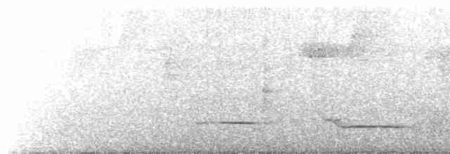 White-necked Thrush (Gray-flanked) - ML486573351