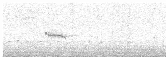 Kara Karınlı Kumkuşu - ML486645681