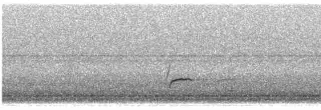 Дрізд-короткодзьоб Cвенсона - ML486646181
