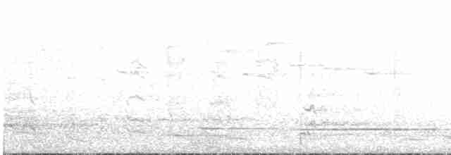 White-eared Honeyeater - ML486651011