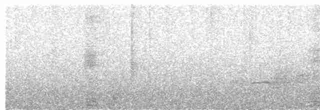 White-necked Rockfowl - ML486663621