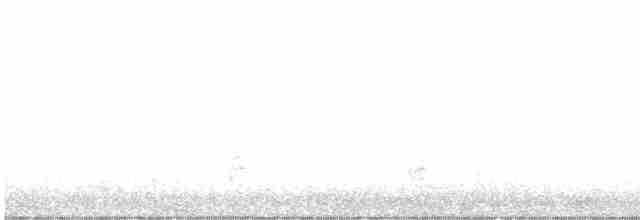 Белокрылый корхан - ML486664051