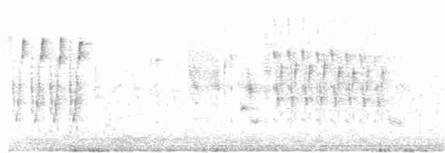 Troglodyte des marais (groupe palustris) - ML48670231