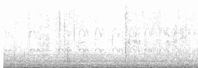 Little Tern - ML486719591