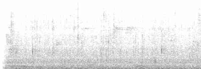 Mirlo Acuático Europeo - ML486747831