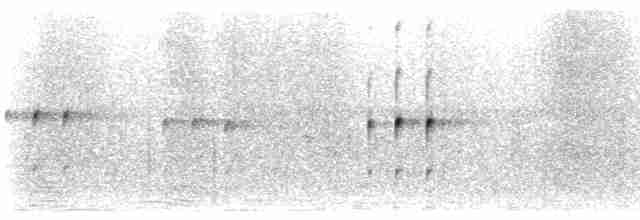 Papamoscas de Fischer - ML486759141