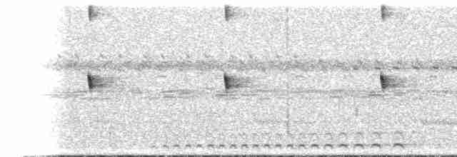 Scissor-tailed Nightjar - ML486762631