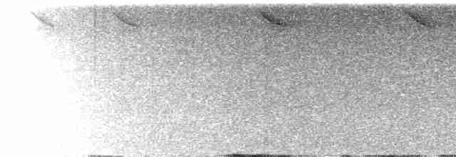 kolibřík irisový - ML486813261