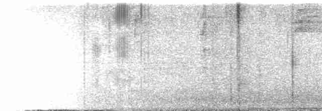 holub šedorůžový - ML486814681