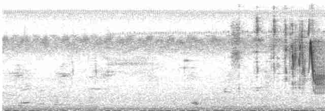 Травяной крапивник [группа elegans] - ML486822901
