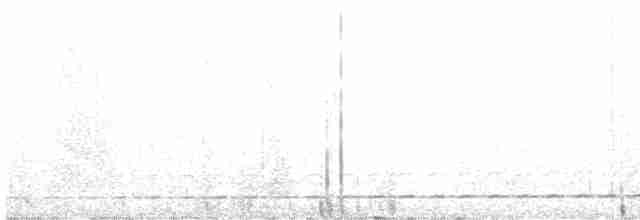Streifenbrust-Ameisendrossel - ML486873291