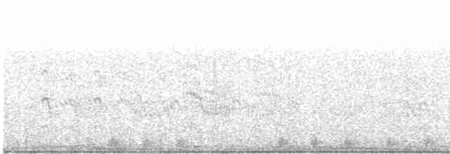 kajka mořská (ssp. dresseri) - ML486880661