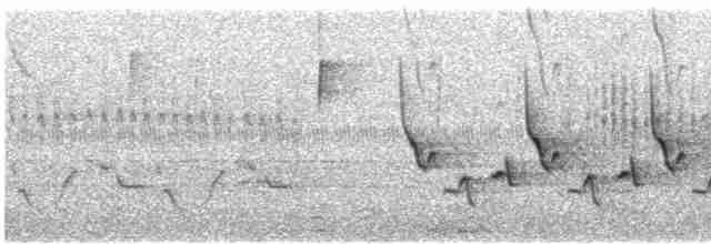 Каролинский крапивник - ML486916791