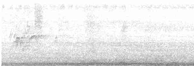 Dendrocygne siffleur - ML486926401