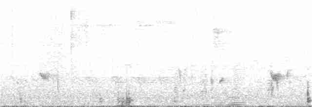 White-browed Shrike-Babbler - ML48694361