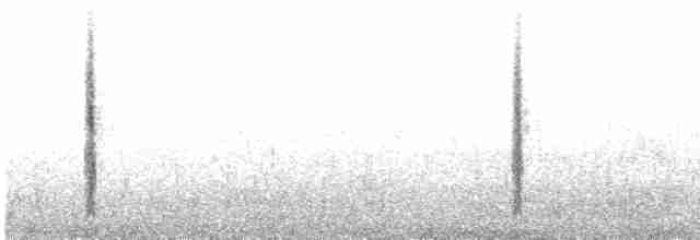 White-throated Bushchat - ML486957981