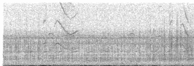 Spot-tailed Nightjar - ML486963631