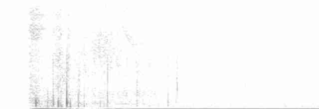 Grallaire à gorge blanche - ML487036141