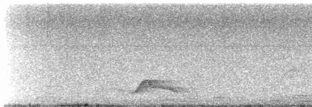 Pauraquenachtschwalbe - ML487121741