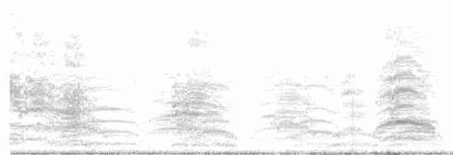 Сероголовая чайка - ML487211451