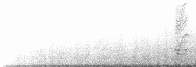 Blue-gray Tanager (White-edged) - ML487252351