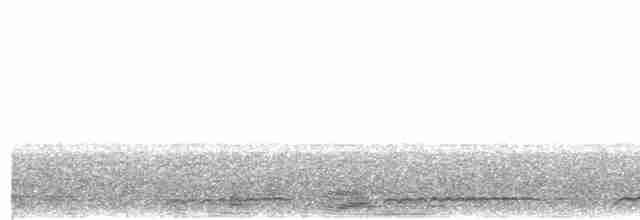 Arborófila Cariblanca - ML487254771