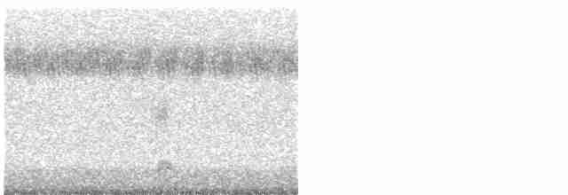 Black-crowned Night-Heron - ML487323401