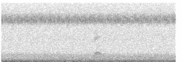 Black-crowned Night-Heron - ML487323421