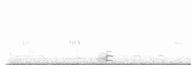 חופית בירד - ML487323651