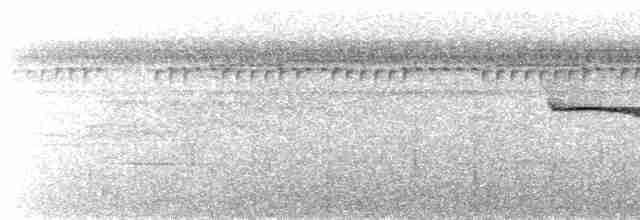 Berlepsch's Tinamou - ML487338961