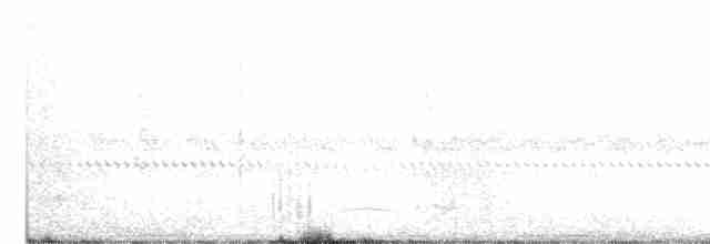 Winternachtschwalbe - ML487407101