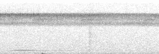 Şerit Kanatlı Çıtkuşu - ML48744
