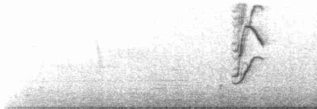 Blue-gray Tanager (White-edged) - ML487452321