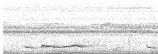 Silky-tailed Nightjar - ML487456131