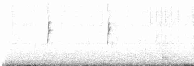 Yellow-rumped Warbler - ML487465701
