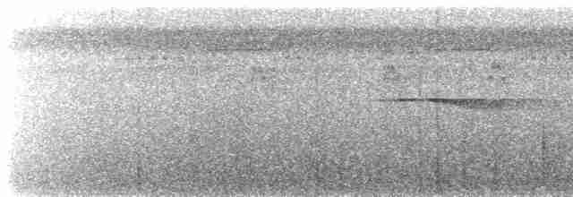 Tinamou de Berlepsch - ML487475811