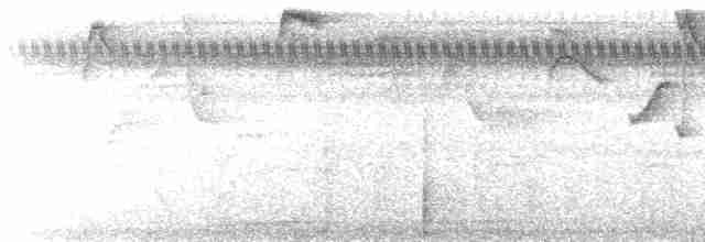 Stripe-throated Hermit - ML487497111