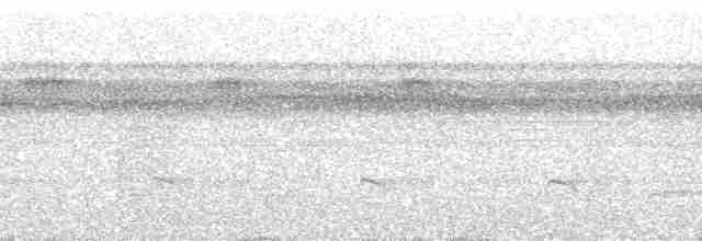 Tarçın Sırtlı Karıncakuşu - ML48753