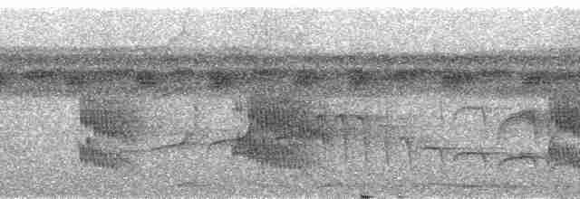 Мурав’янка рудогорла - ML48755