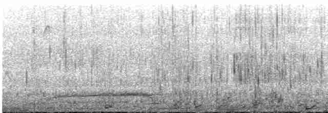 Гагара полярна - ML487552081