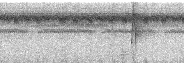 Kısa Gagalı Yaprakçeviren - ML48762