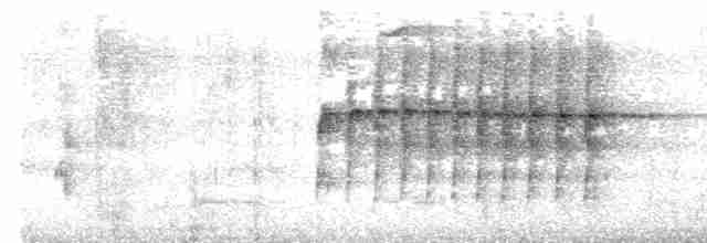 Ockerstirn-Blattspäher - ML487620151