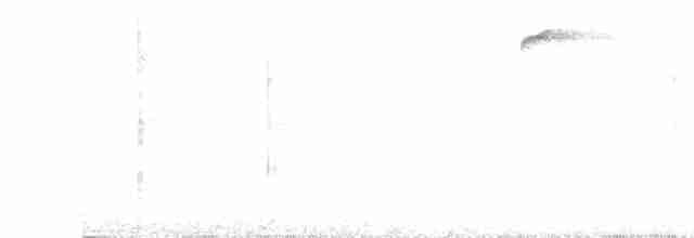 Ockerstirn-Blattspäher - ML487620351