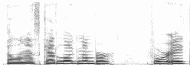Ak Sorguçlu Karıncakuşu - ML48763